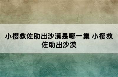 小樱救佐助出沙漠是哪一集 小樱救佐助出沙漠